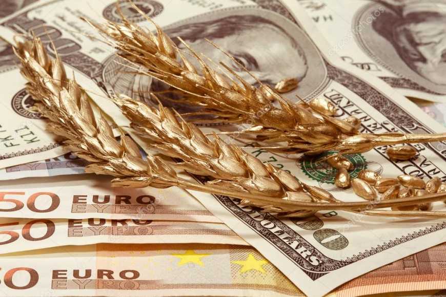 Обсяг експорту українського зерна на 2,3 млн тонн вище за торішній