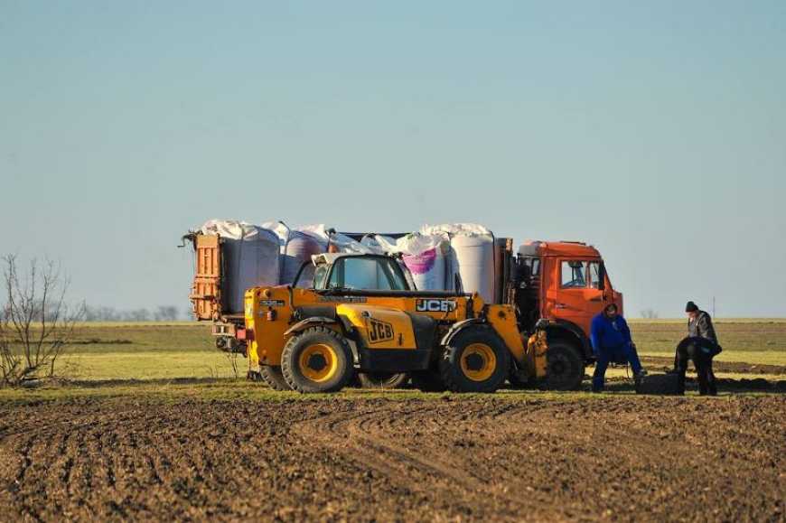 Посівна-2026: на Одещині сіють сочевицю