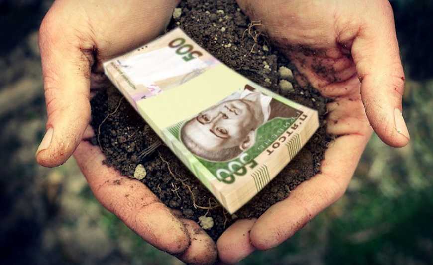 &laquo;Земельний банк&raquo;: суборенда держземель в Україні подешевшала до 3 тис. грн/га