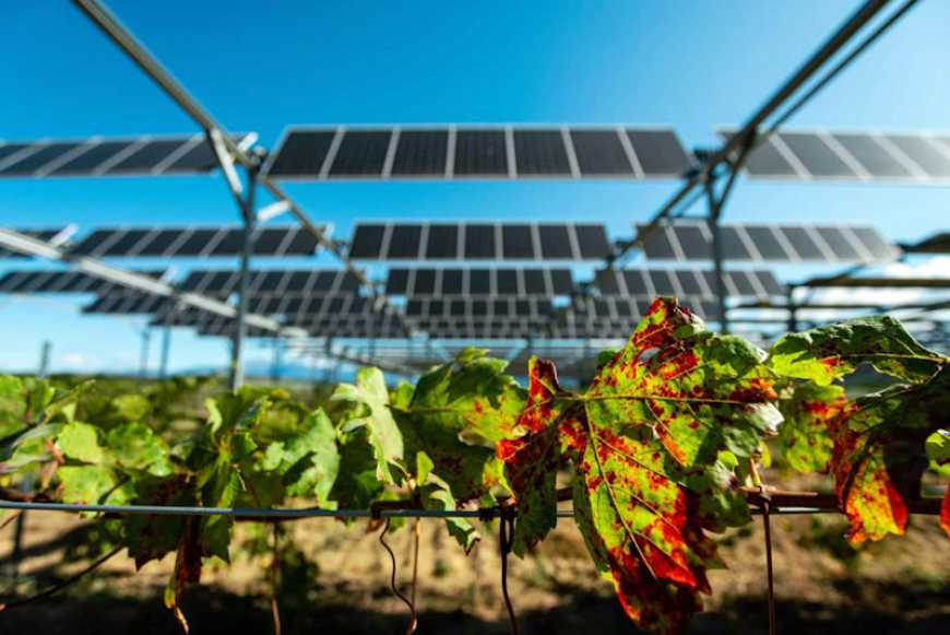 Агровольтаїка і плавучі сонячні електростанції можуть стати розв&rsquo;язанням проблеми посухи