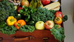 Україна — один із основних експортерів органічної продукції до ЄС
