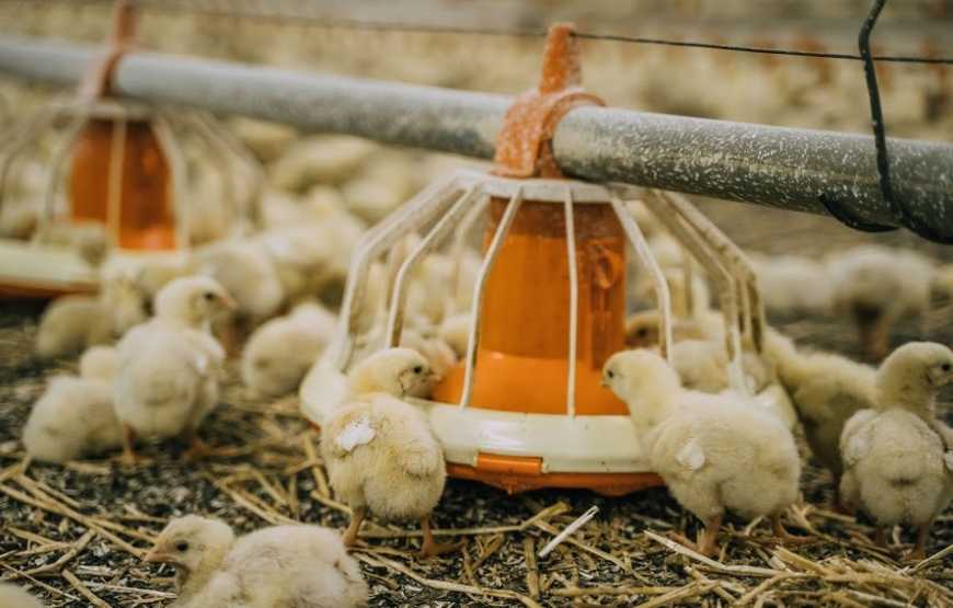&laquo;Миронівський хлібопродукт&raquo; планує побудувати бульйонний завод