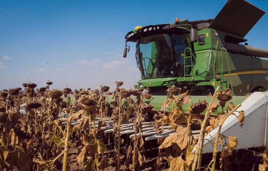 Жнива-2025: в Україні зібрано вже понад 40 млн тонн зернових