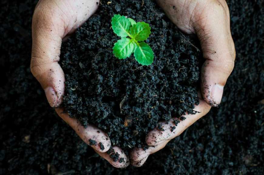 Японська технологія нанобульбашок покращуватиме стан українських ґрунтів