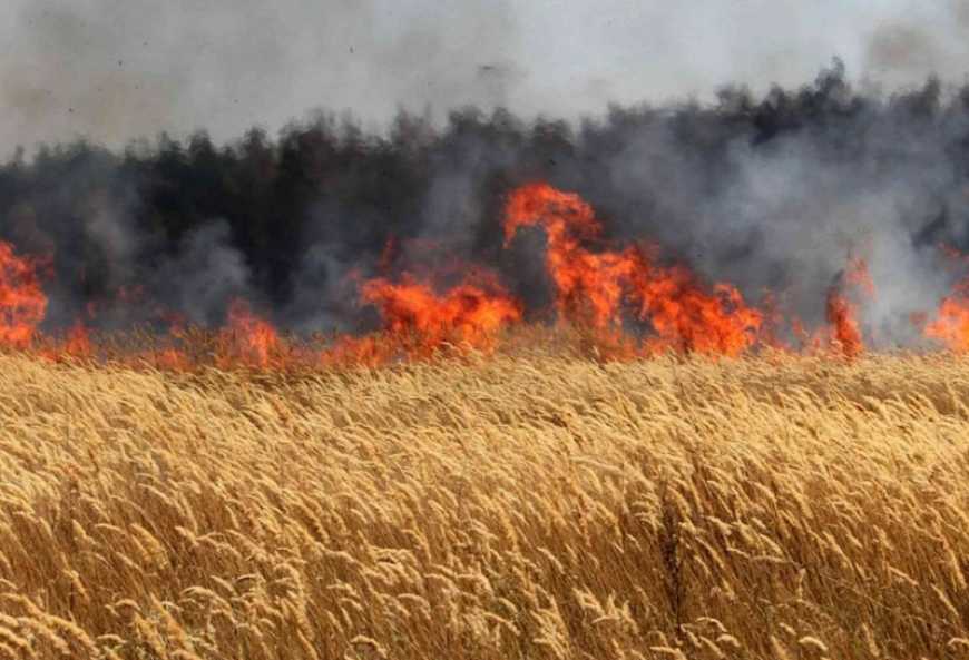 Довкіллю України завдано збитків на понад 1,35 трильйона грн, &ndash; Рахункова палата