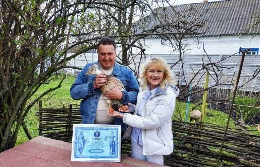 На Київщині живе справжня качка-рекордсменка