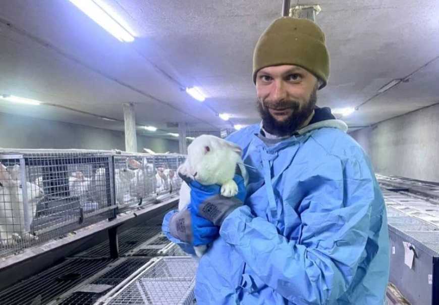 На Львівщині ветеран успішно розвиває власну кролеферму