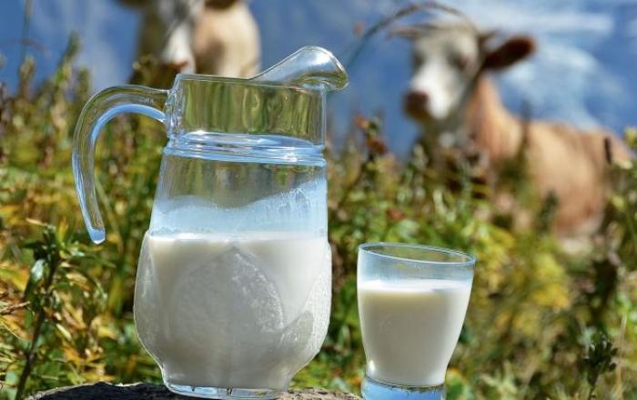 Лише 6% фермерів готові згорнути свій молочний бізнес, - опитування