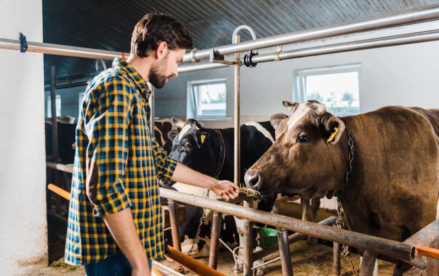 Ринок праці: які спеціальності найбільш затребувані в українському АПК?