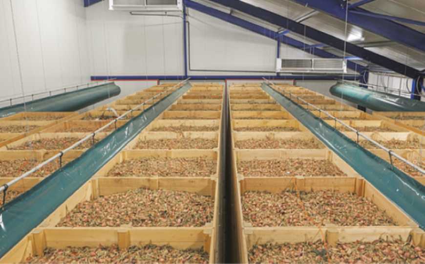 ТОВ &laquo;Толсма Текнік&raquo;: як забезпечити урожай на полицях, а не втратами в сховищі