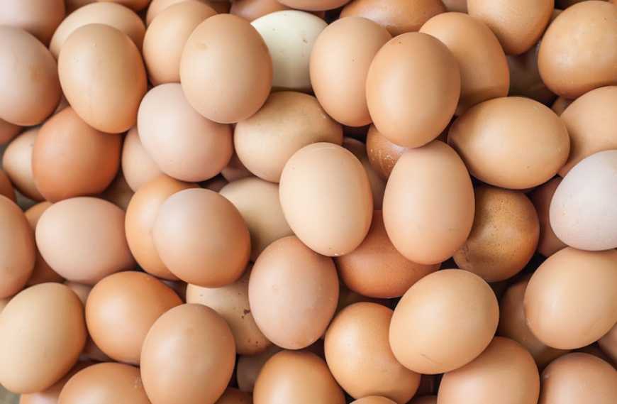 У 2025 році Україна експортувала понад два мільярди яєць