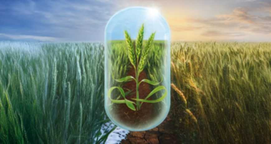 Corteva допоможе українським фермерам адаптуватися до кліматичних викликів з новим продуктом Біофордж®