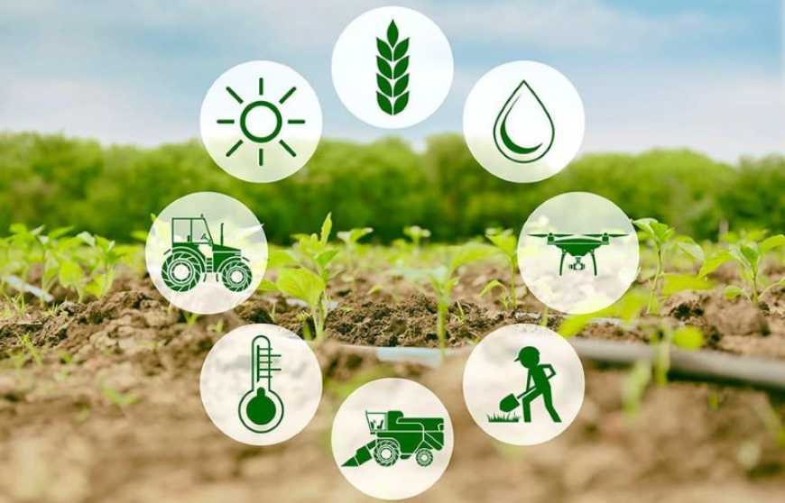 До 2034 року ринок розумного сільського господарства перевищить 60,9 млрд доларів