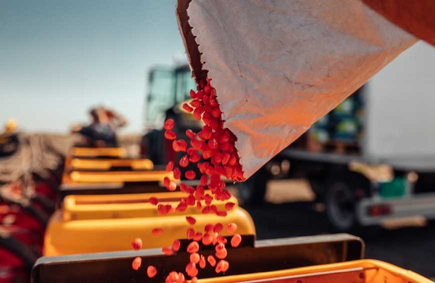 Посівна-2020: ярими культурами засіяно більше половини запланованих площ