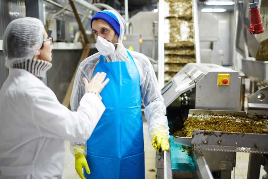 Як вибрати робочий одяг для працівників харчової промисловості
