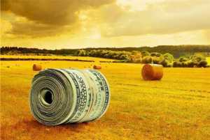 Торік в агросектор інвестували 75,7 мільярдів гривень