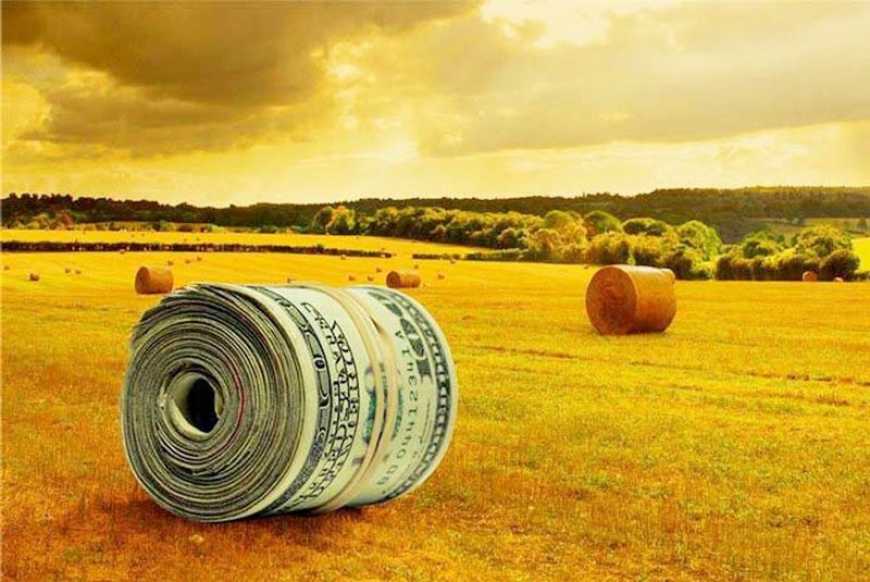 Торік в агросектор інвестували 75,7 мільярдів гривень