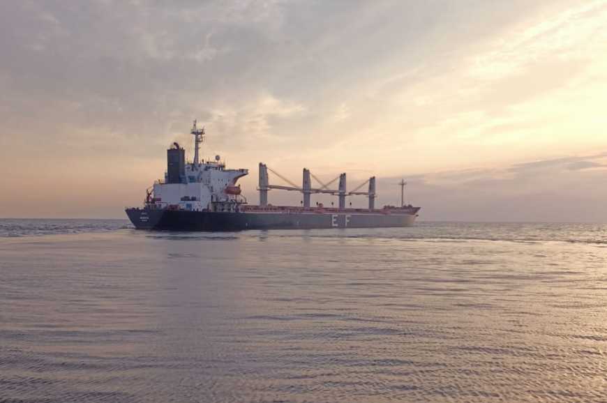 Три судна вийшли з українських портів з агропродукцією і залізною рудою