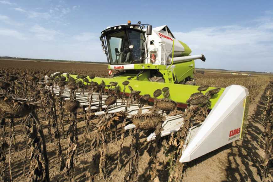 На полях агрохолдингу KSG Agro почалося збирання соняшнику