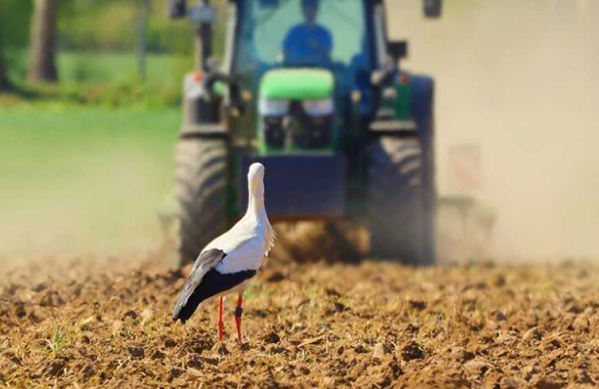 Посівна-2026: українські аграрії засіяли зерновими 1,7 млн га