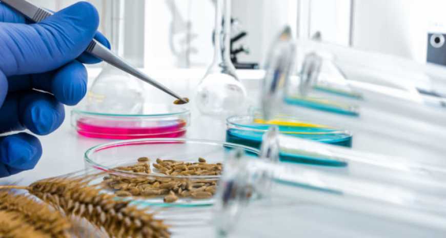 Лабораторія порту «Ніка-Тера» дозволить проводити аналіз сільгоспвантажів за 1 хвилину