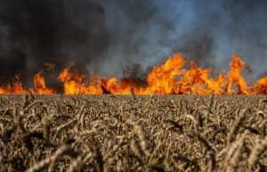 На Харківщині науковці розробили карту забруднень сільгоспземель внаслідок бойових дій