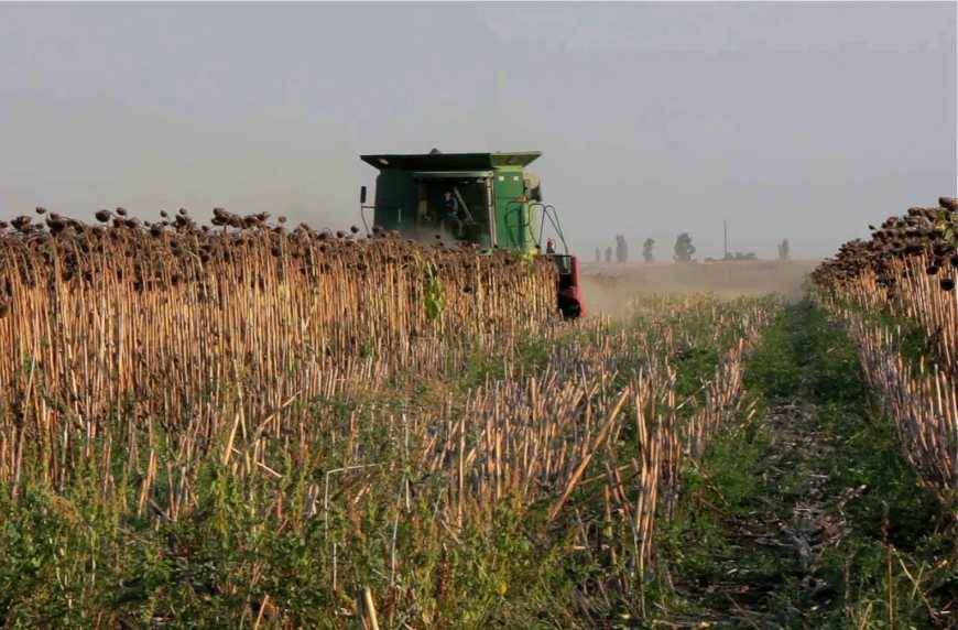 Аграрії Запоріжжя розпочали збирання пізніх культур