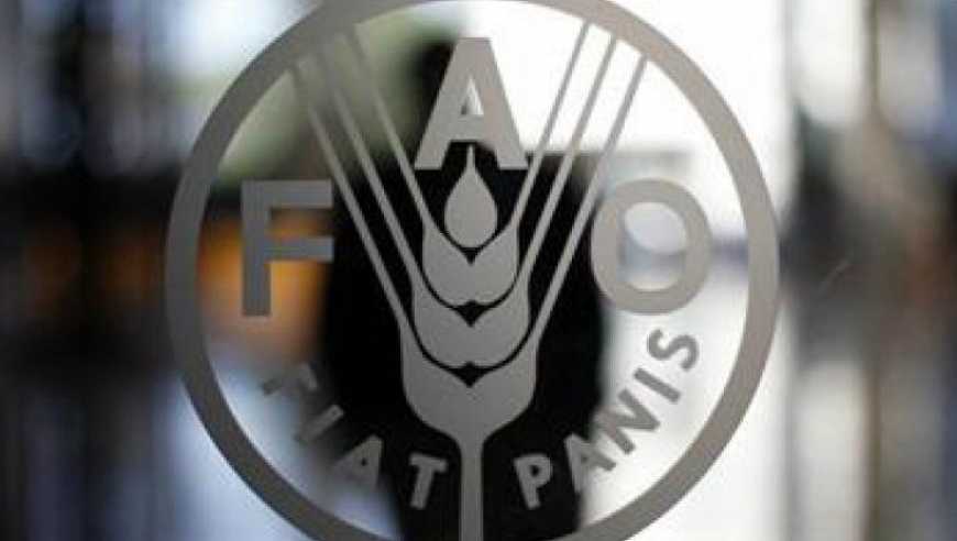 ФАО розробила попередні рекомендації щодо боротьби зі стійкістю організмів до протимікробних препаратів в Україні