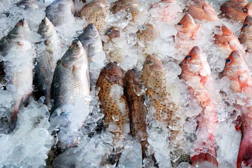 Ціни на морожену рибу в Україні зросли на 2,5%
