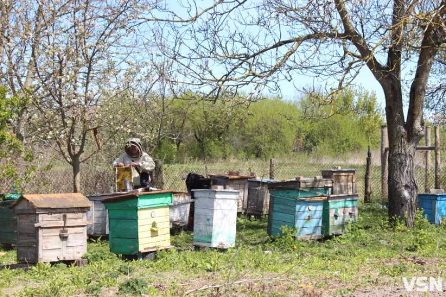 Школяр з Волині самотужки робить вулики та доглядає пасіку дядька, який пішов на фронт