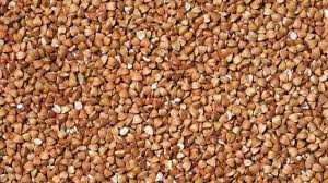 В Україні знову ростуть ціни на гречку