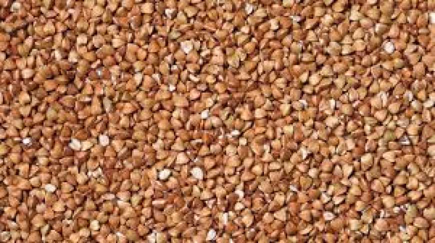 В Україні знову ростуть ціни на гречку