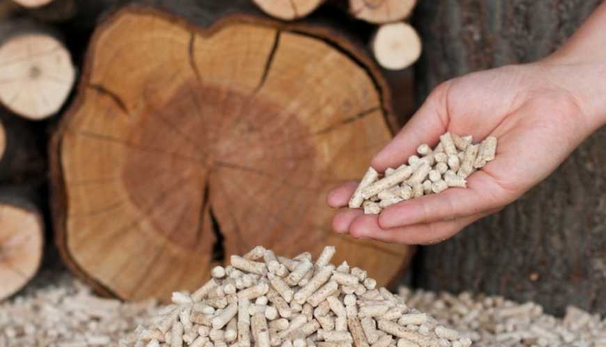 У Раді зареєстровано законопроєкти щодо вирощування енергетичних рослин