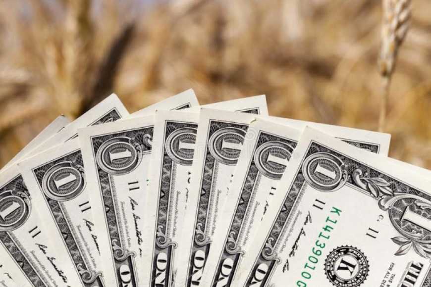 Нацбанк збільшив терміни повернення валютної виручки для агропродукції