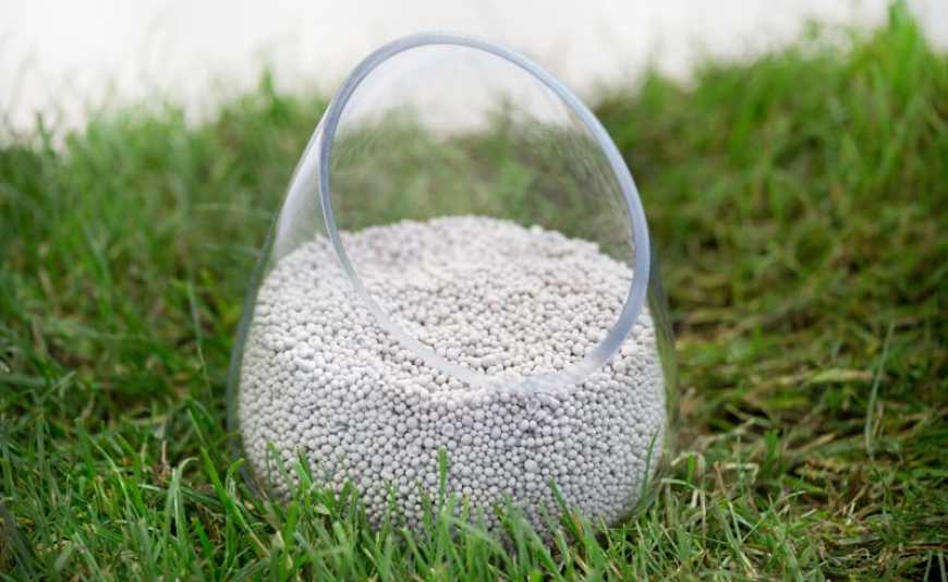 Ринок добрив: OSTCHEM знизив ціни на вапняково-аміачну селітру