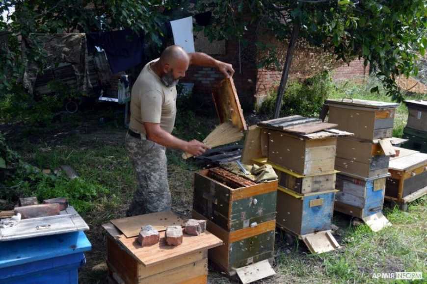 Під Бахмутом з’явилася особлива військова пасіка