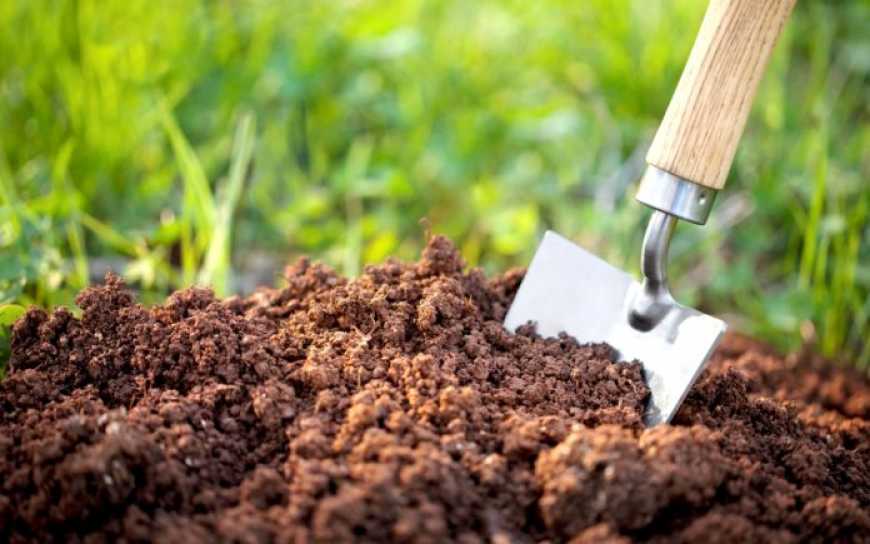 В Україні більше 70% ґрунтів потерпають від нестачі поживних речовин