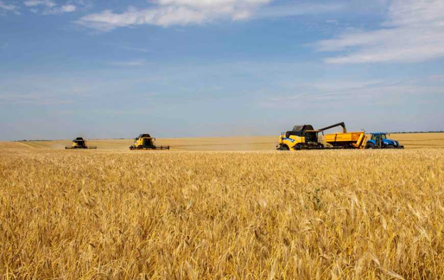 У сезоні 2026/27 валовий збір зерна в Україні може знизитись на 4% &ndash; прогноз