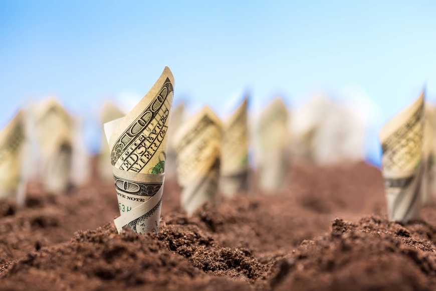 Після відкриття ринку землю продаватимуть від $1800 за га, – Мушак