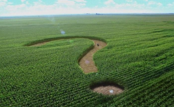 Останні 16 років ринок землі в Україні перебуває у фазі глибокого застою, - експерт