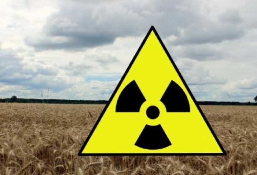 На Житомирщині продавали врожай з радіоактивних земель