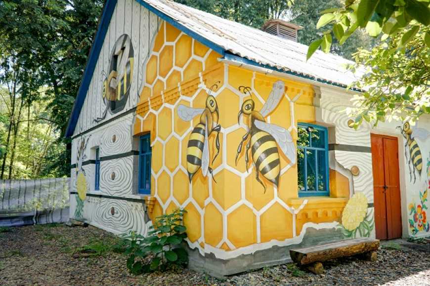На Вінниччині з’явився невеличкий музей на сторічній пасіці