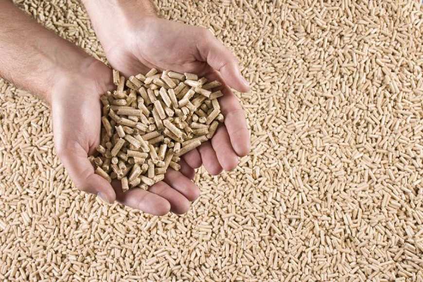 В Україні запрацює біржа біопалива