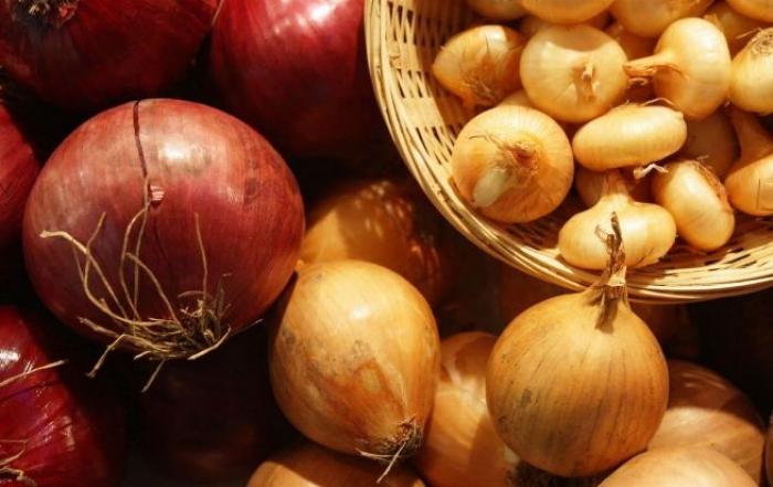 З початку 2017/18 МР ЄС став головним покупцем української цибулі