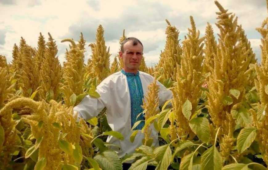 Родинна ферма з Львівщині вирощує рідкісні культури за технологією життєдайного виробництва
