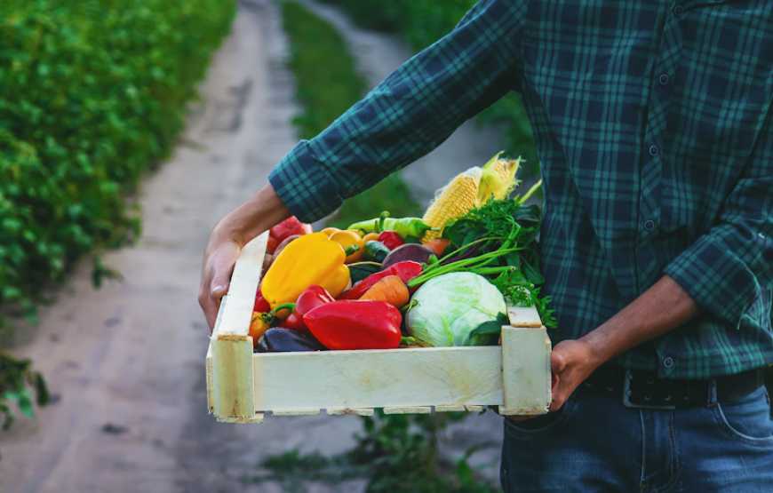 В Україні пропонують запровадити прогнозування вирощування сільгосппродукції