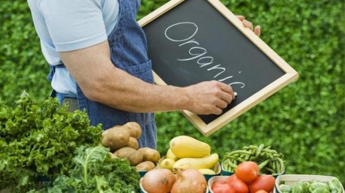 Аграрний комітет Ради вніс остаточні зміни в законопроект про органічне виробництво