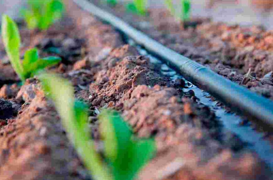 Реформа зрошення: законопроєкт про другий етап пройшов аграрний комітет