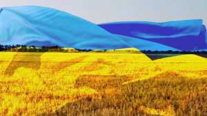 Перші висновки посівної-2022: незасіяними будуть близько третини площ