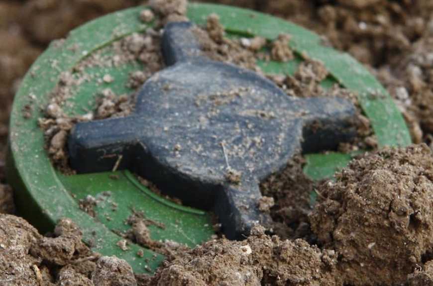 Малим агровиробникам України допоможуть із розмінуванням земель